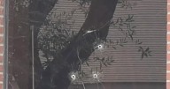No injuries reported after gunfire strikes Sacramento ABC TV station building