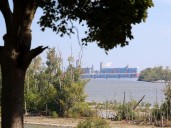 Restored islands renew Maumee River habitat