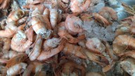 Calp porta la seua gamba blanca a Alacant Gastronòmica