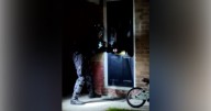 Arrests made, Rolex watches seized and 'gun' found in major drugs bust