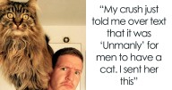 49 Of The Funniest Cat Pictures On The Internet (New Pics)