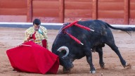 Emilio de Justo y el indulto a 'Buenasuerte' de Garcigrande, cumbre La Glorieta