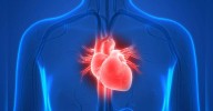 World Heart Day: Cardiac issues preventable with awareness and timely action, say experts