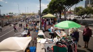 Santa Cruz de Tenerife compra 401 carpas blancas para que el Rastro sea más atractivo