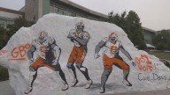 UT sophomore Cole Davis paints 'The Rock'