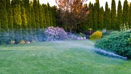 How To Plant And Grow Cool-Season Grass Seed
