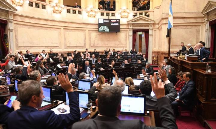 Uno por uno: cómo votaron los senadores el rechazo al veto de la ley de emergencia en discapacidad