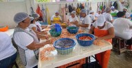 Asipona ordena cierre de despicadero?en Tampico y deja sin empleo a 70 mujeres?