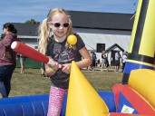 Donnybrook Fair in Walsh marks 166 years of fall fun