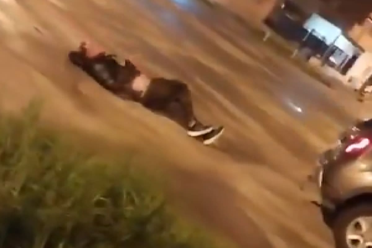 Un hombre acusado de robarle a una mujer fue atado y arrastrado por vecinos en una camioneta