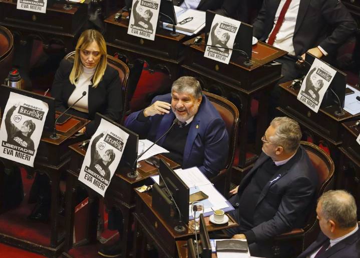 Revés para el Milei: el Senado debatirá el rechazo del veto a Discapacidad y reforma de los DNU