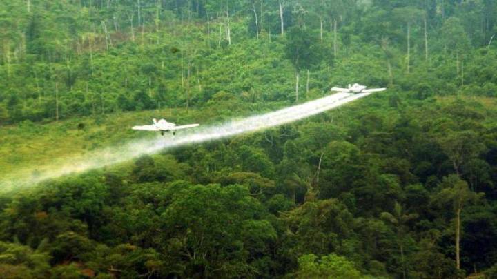 Presidente Gustavo Petro abre la puerta a la fumigación aérea con glifosato en enclaves cocaleros: ¿es viable?