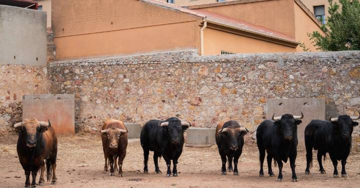 Emilio de Justo, Juan Ortega y Roca Rey inauguran el cartel de figuras en la feria de Salamanca