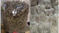Gold dust, foreign currency, marijuana, worth Rs 22 crore seized at Mumbai airport; 6 arrested