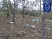 Localiza Célula BOI pista de aterrizaje clandestina y campamento delictivo en Guachochi