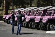 Pink Jeep Tours marks nearly 25 years of exploring Southern Nevada, area attractions