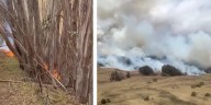 Big Island fire burns for three days near eucalyptus forest