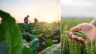 Llega a Colombia nuevo centro de innovación estratégico para fortalecer el sector agroalimentario