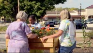 State grant funds Cross Haven Sensory Garden for Arc of Greater Boone County