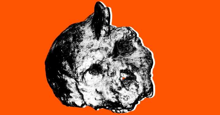 Scientists Intrigued by Non-Human Skull Embedded in Cave Wall