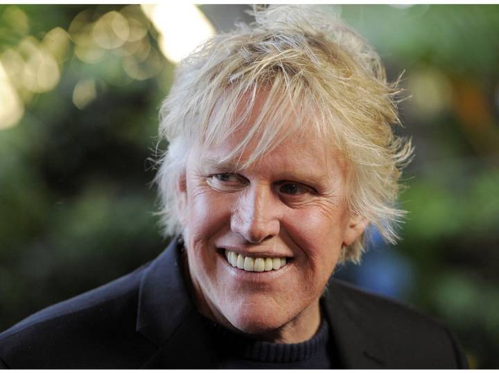 Gary Busey gets probation for sexual offence
