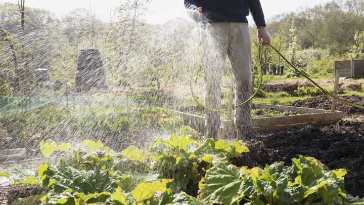 The Big Storage Mistake Is Making Your Hose's Lifespan Shorter