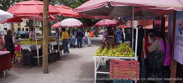 GUADALUPE REGULARIZA REGULARIZA Y ORGANIZA ESTATUS DE COMERCIANTES FORANEOS