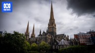 Catholic Church attempted to revive outlawed 'Ellis defence' in sexual abuse case