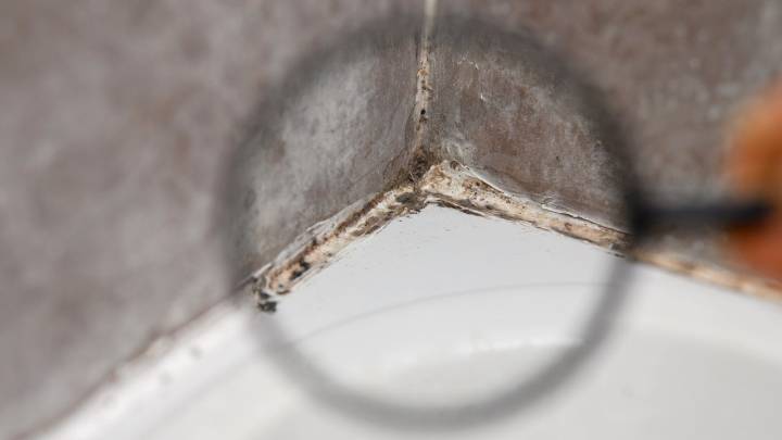 This one kitchen gadget will help reduce mold in your bathroom
