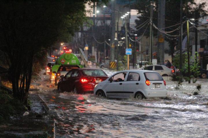 App Jalisco Alerta, para la próxima semana