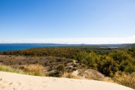 2.9 million visitors went to Michigan’s national parks in 2024, bringing $300M with them