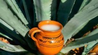 Bebidas para fiestas patrias; más allá del atole y el agua de jamaica