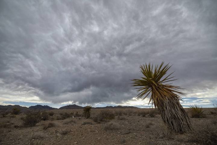 Las Vegas weather: monsoon storms returning as September begins