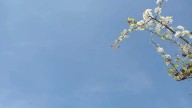 Pronostican cielo mayormente despejado para este lunes
