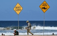 Muere surfista al ser mordido por un tiburón en Sídney