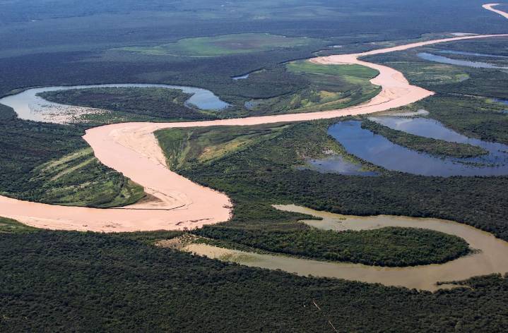 La Argentina, Brasil, Paraguay y Bolivia lanzan un proyecto que tiene al mayor felino americano como su gran estrella