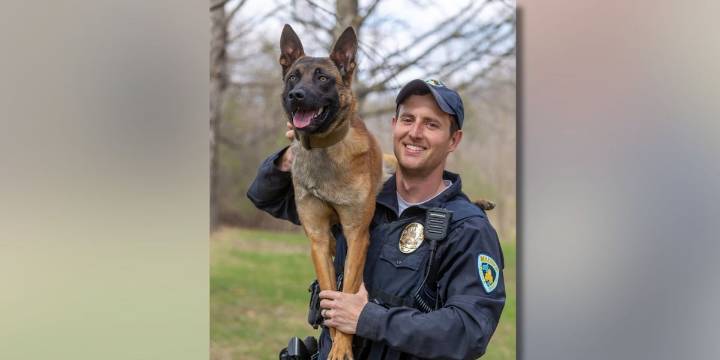 Fundraiser created to support Madison police officer injured in crash
