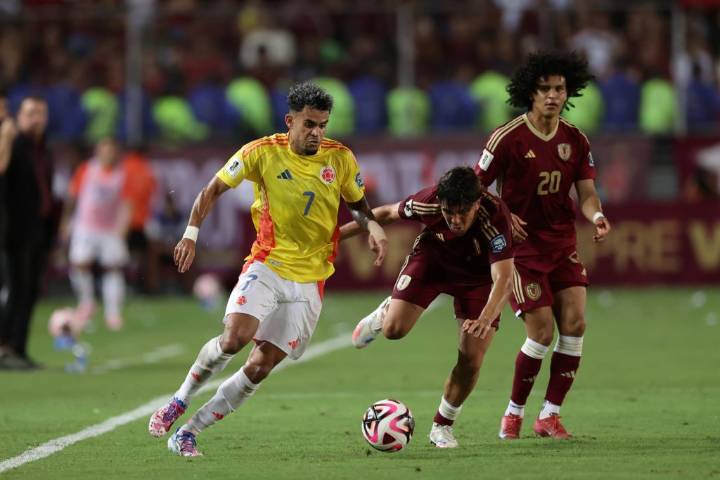 Fin del sueño mundialista para la Vinotinto