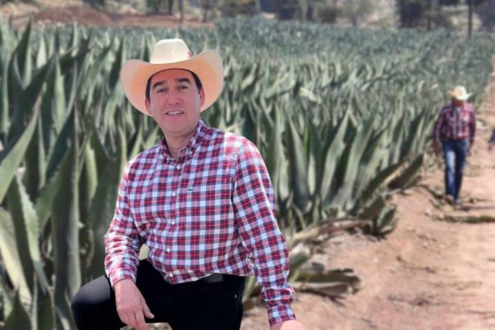 El maguey no se verá perjudicado por parque fotovoltaico, asegura Napoleón González
