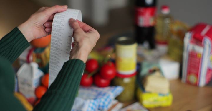 ¿Cómo dejar de lado los productos comestibles caros y mantener un presupuesto ajustado?