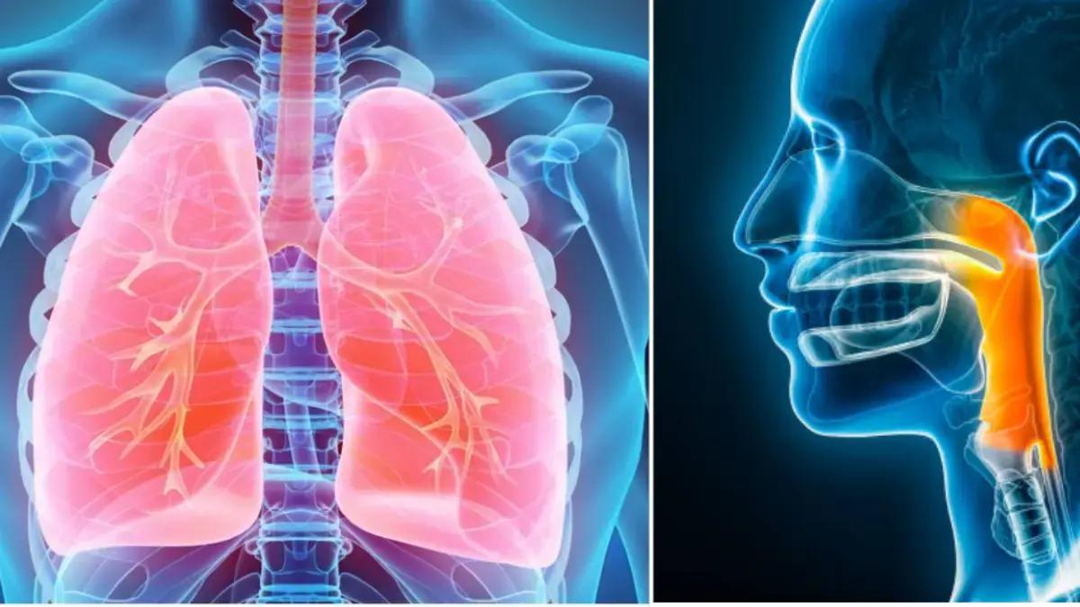 En solo 7 pasos: esta es la sencilla prueba que permite conocer la edad de los pulmones en casa, ¿qué tan saludables están los suyos?