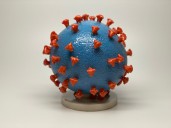COVID-19 vaccine guidance shifts away from universal shots