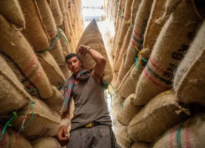 Precio del café arábica roza los US$4 por libra, mientras Colombia reportó récord en exportaciones