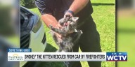Something Good: Smokey the kitten rescued from car by Thomasville firefighters