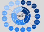 Why Dyspraxia Is Often Misunderstood