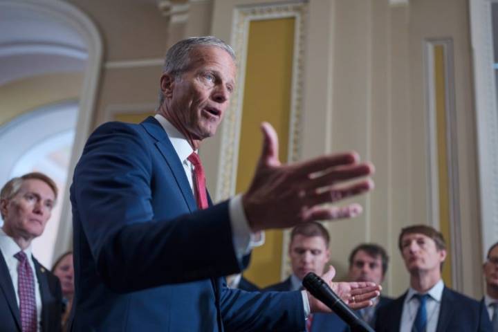 Thune to let GOP senators nix ‘bad apple’ nominees under new Senate rule