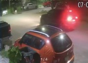Vecinos denuncian crueldad animal en Torreón; perro habría muerto por disparo