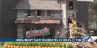 Roca Berry Farm celebrates 45 years of fun