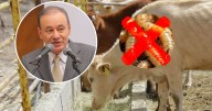 Sonora ha cumplido con requerimientos para evitar la plaga del gusano barrenador: gobernador Durazo