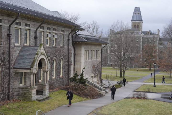 Cornell students kill bear, bring it into residence hall to skin and butcher